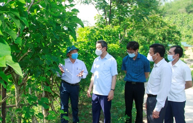 Đồng chí Lê Đức Giang, Tỉnh ủy viên, Phó Chủ tịch UBND tỉnh kiểm tra tinh trạng xâm canh, xâm cư của người dân bản Suối Lóng, xã Tam Chung