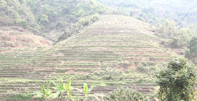 Ruộng bậc thang được người dân khai hoang thành ruộng lúa nước