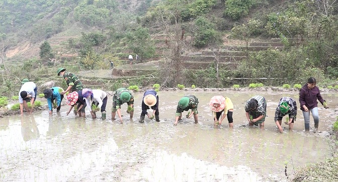 Cán bộ xã và Cán bộ chiến sĩ Đồn Biên phòng Quang Chiểu hướng dẫn người dân gieo cấy lúa