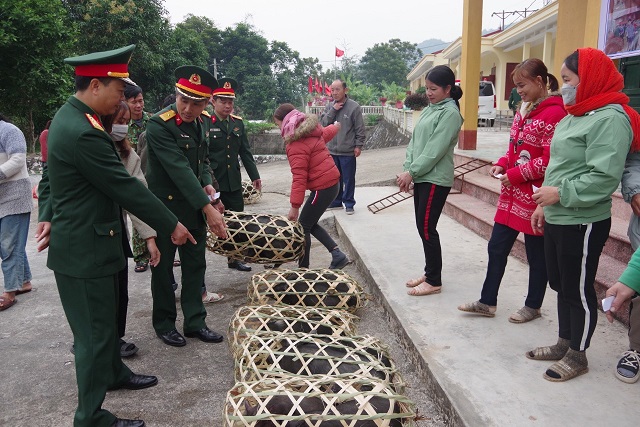 Đoàn Kinh tế - Quốc phòng 5 cấp lợn đen bản địa cho nhân dân