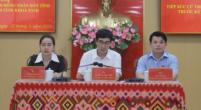 Tổ đại biểu HĐND tỉnh tại hội nghị.